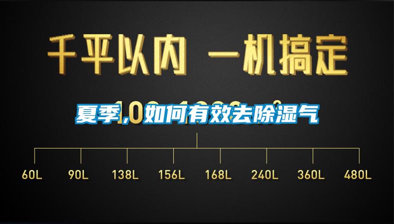 夏季，如何有效去除濕氣