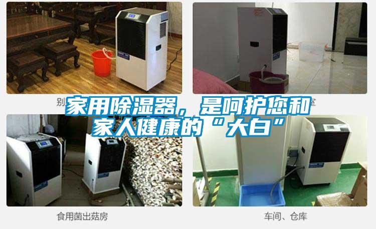 家用除濕器，是呵護您和家人健康的“大白”