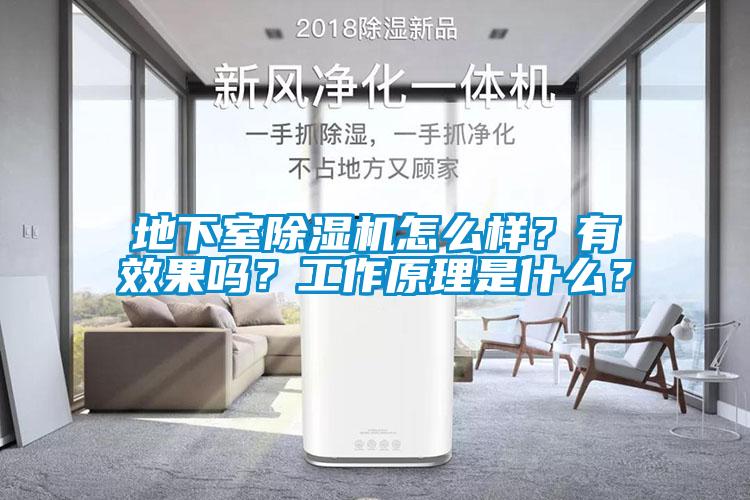 地下室除濕機怎么樣？有效果嗎？工作原理是什么？