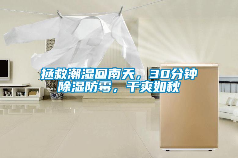 拯救潮濕回南天，30分鐘除濕防霉，干爽如秋