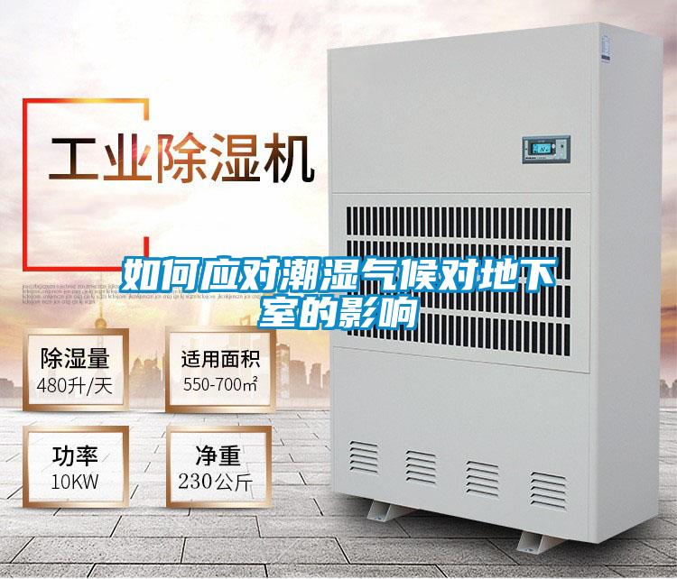 如何應(yīng)對(duì)潮濕氣候?qū)Φ叵率业挠绊?/></p>
						    <p style=