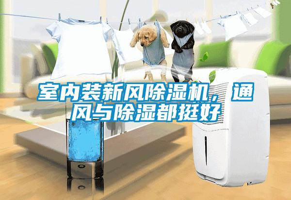 室內(nèi)裝新風(fēng)除濕機(jī)，通風(fēng)與除濕都挺好