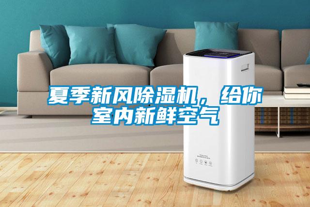 夏季新風(fēng)除濕機，給你室內(nèi)新鮮空氣