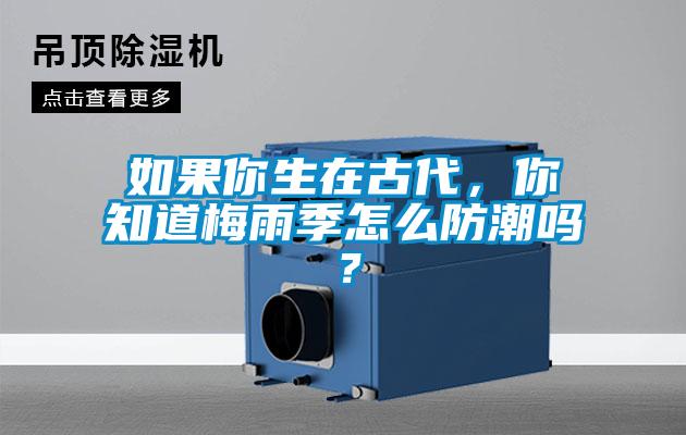 如果你生在古代，你知道梅雨季怎么防潮嗎？