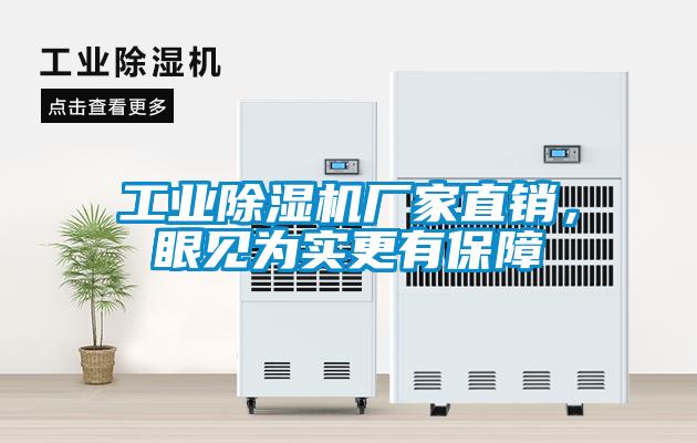 工業(yè)除濕機廠家直銷，眼見為實更有保障