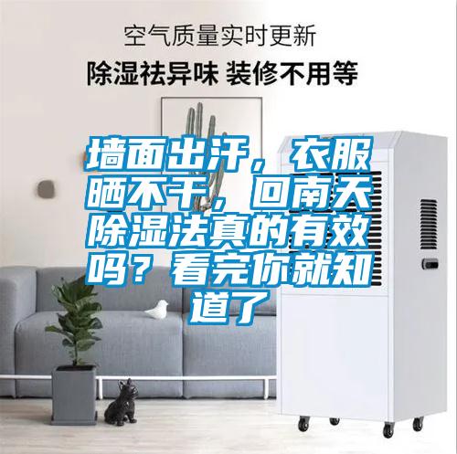 墻面出汗，衣服曬不干，回南天除濕法真的有效嗎？看完你就知道了
