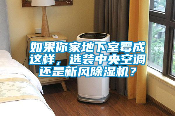 如果你家地下室霉成這樣，選裝中央空調還是新風除濕機？
