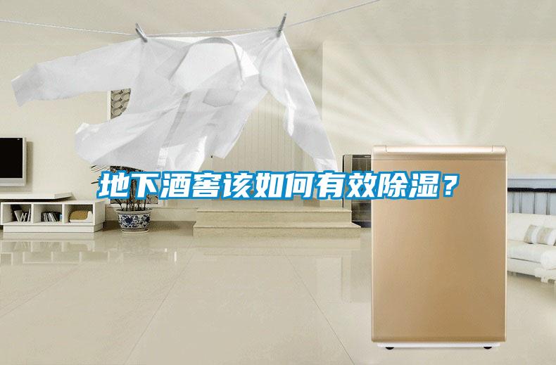 地下酒窖該如何有效除濕？