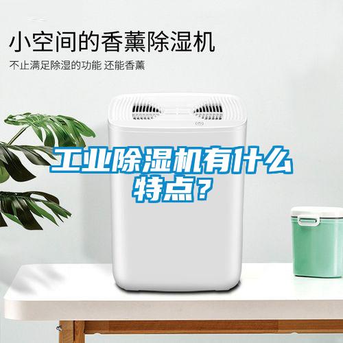 工業(yè)除濕機(jī)有什么特點(diǎn)？