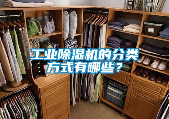 工業(yè)除濕機(jī)的分類(lèi)方式有哪些？