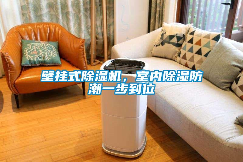 壁掛式除濕機(jī)，室內(nèi)除濕防潮一步到位