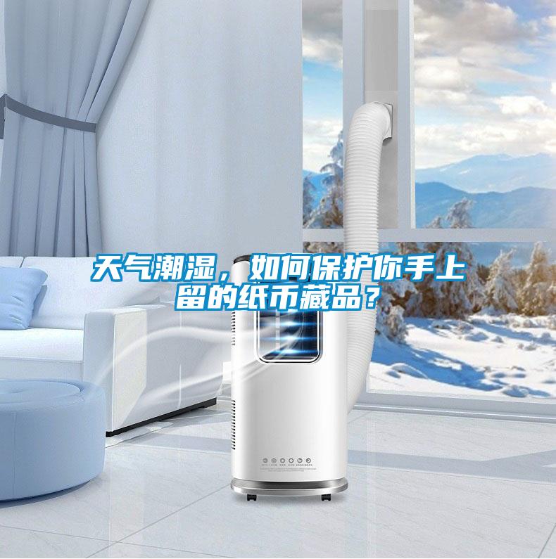 天氣潮濕，如何保護你手上留的紙幣藏品？