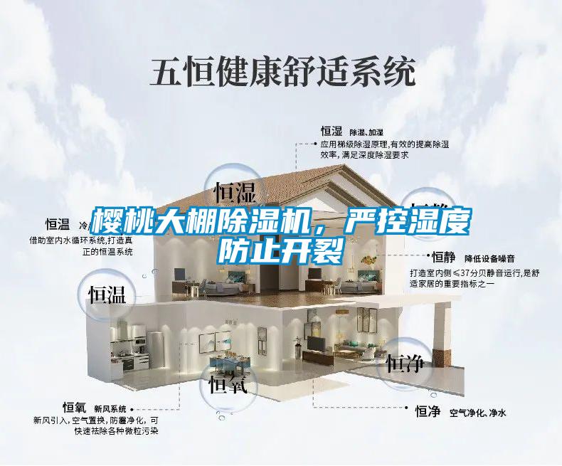 櫻桃大棚除濕機，嚴控濕度防止開裂