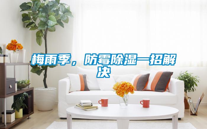 梅雨季，防霉除濕一招解決