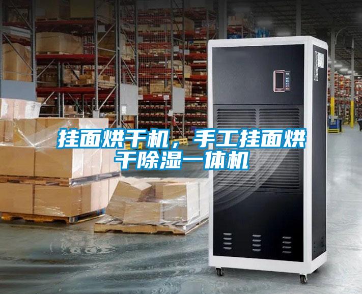 掛面烘干機(jī)，手工掛面烘干除濕一體機(jī)