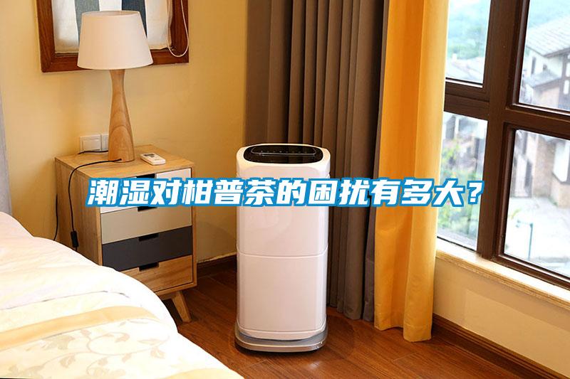 潮濕對柑普茶的困擾有多大？