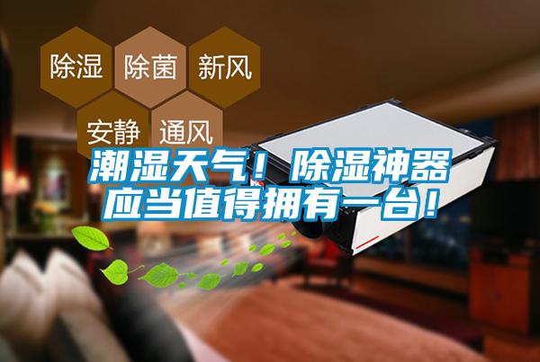 潮濕天氣！除濕神器應(yīng)當(dāng)值得擁有一臺！