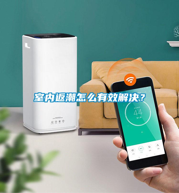 室內(nèi)返潮怎么有效解決？