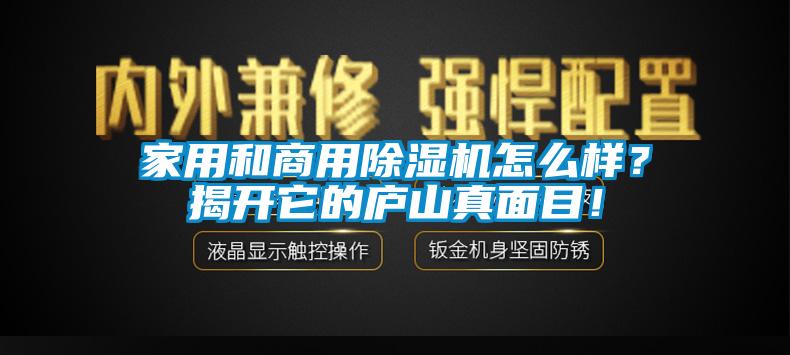 家用和商用除濕機怎么樣？揭開它的廬山真面目！