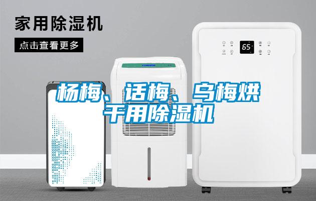 楊梅、話梅、烏梅烘干用除濕機(jī)