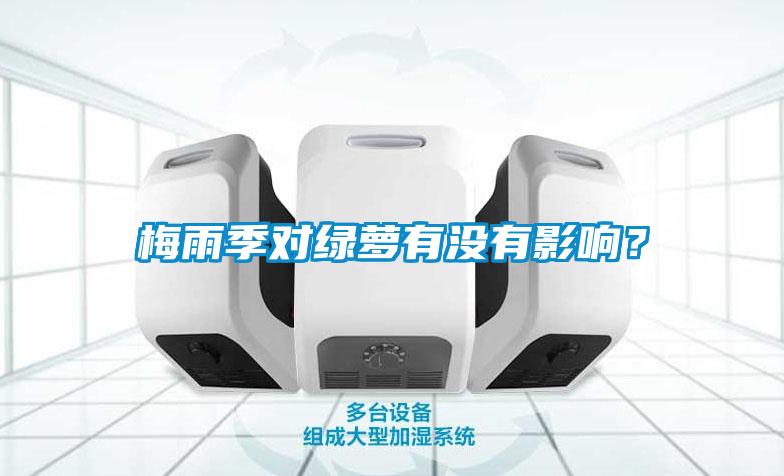 梅雨季對(duì)綠蘿有沒有影響？