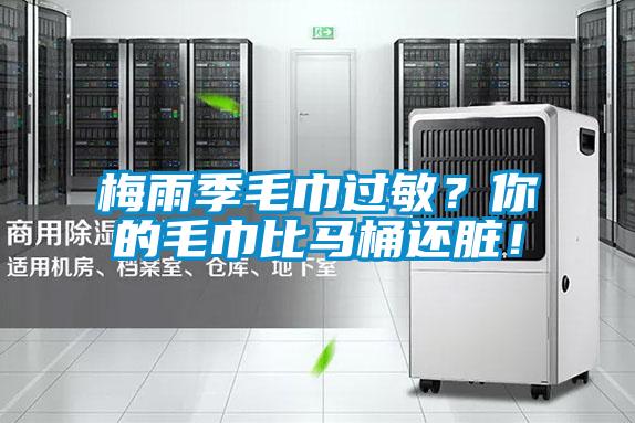 梅雨季毛巾過敏？你的毛巾比馬桶還臟！