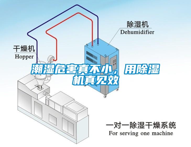 潮濕危害真不小，用除濕機(jī)真見效