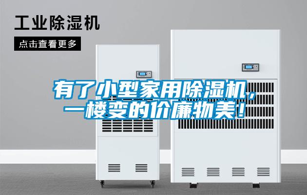 有了小型家用除濕機(jī)，一樓變的價廉物美！