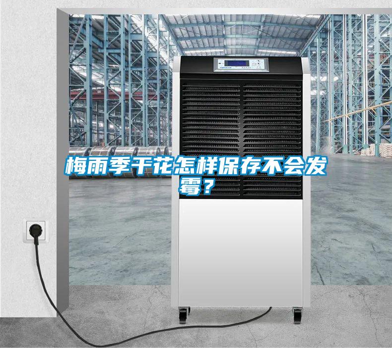 梅雨季干花怎樣保存不會(huì)發(fā)霉？