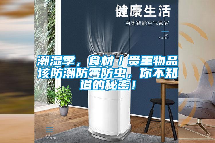 潮濕季，食材／貴重物品該防潮防霉防蟲，你不知道的秘密！