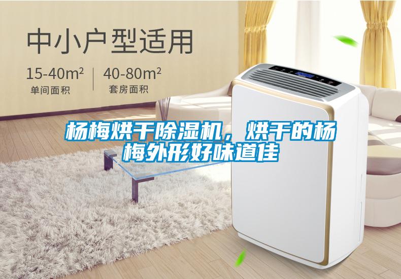 楊梅烘干除濕機(jī)，烘干的楊梅外形好味道佳