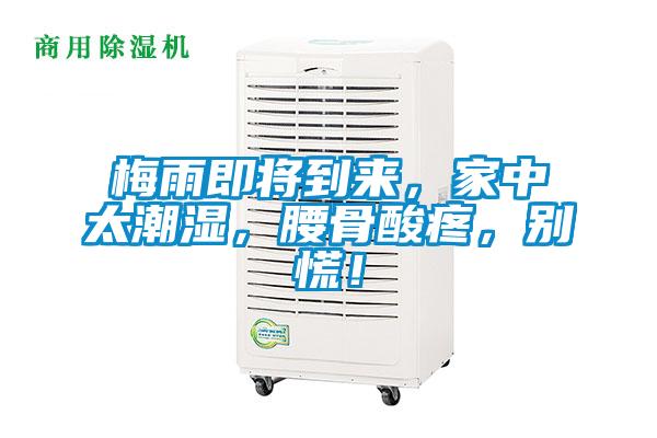 梅雨即將到來，家中太潮濕，腰骨酸疼，別慌！