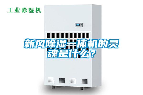 新風(fēng)除濕一體機(jī)的靈魂是什么？