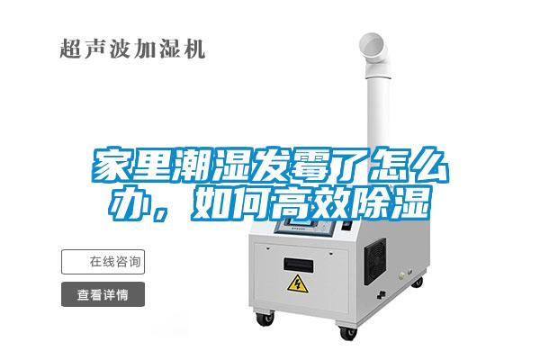 家里潮濕發(fā)霉了怎么辦，如何高效除濕