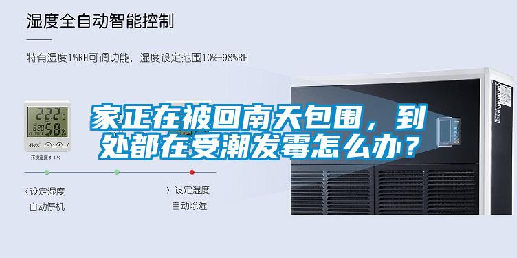 家正在被回南天包圍，到處都在受潮發(fā)霉怎么辦？