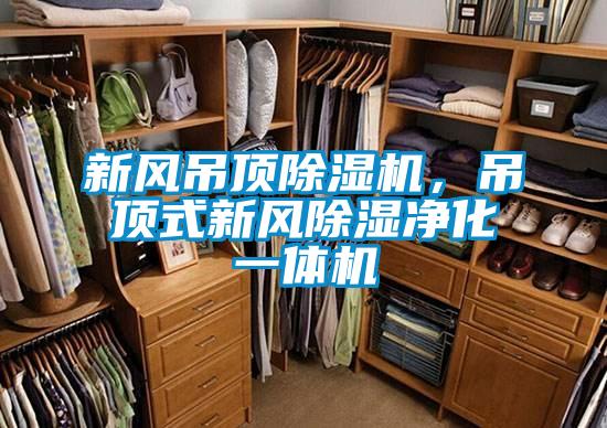 新風(fēng)吊頂除濕機，吊頂式新風(fēng)除濕凈化一體機