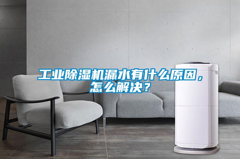 工業(yè)除濕機(jī)漏水有什么原因，怎么解決？