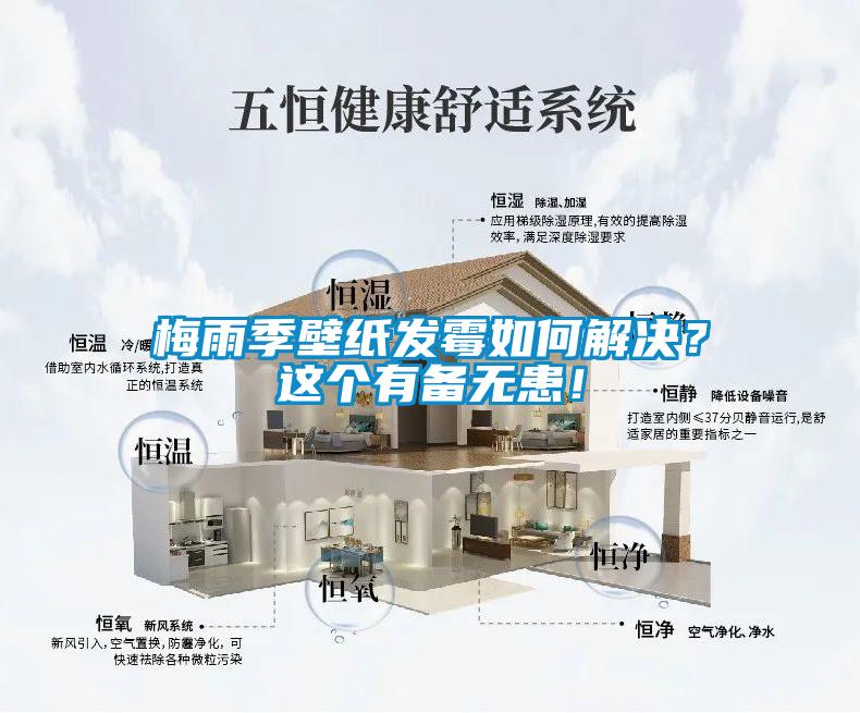 梅雨季壁紙發(fā)霉如何解決？這個(gè)有備無患！