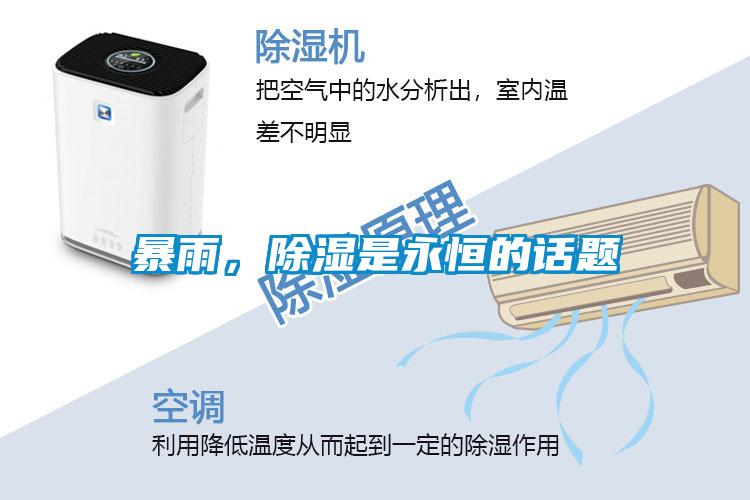 暴雨，除濕是永恒的話題