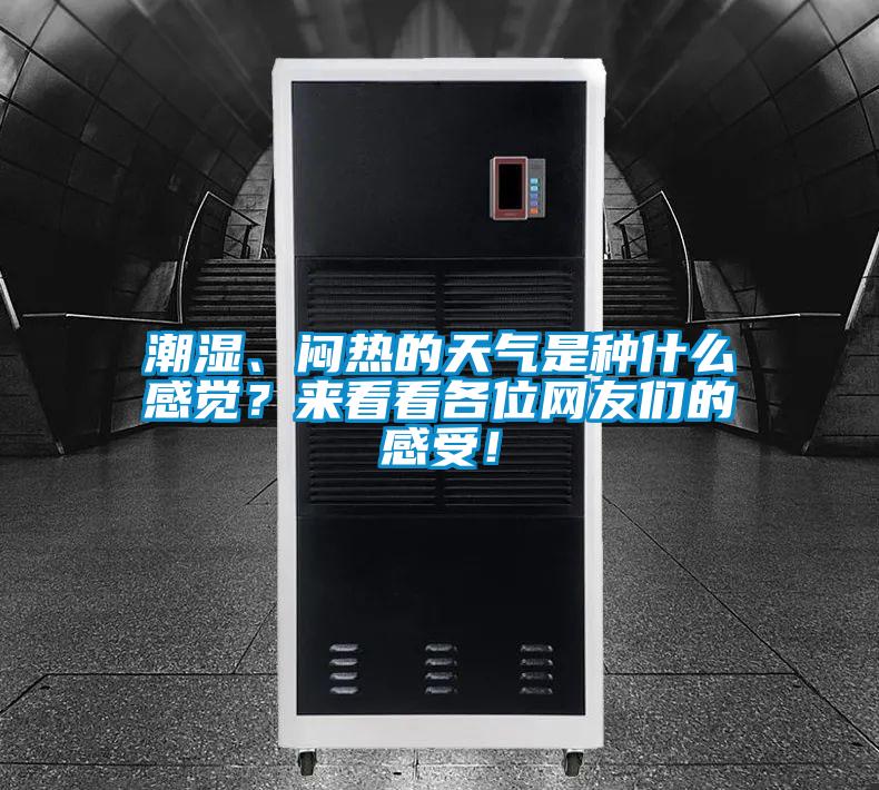 潮濕、悶熱的天氣是種什么感覺？來看看各位網(wǎng)友們的感受！