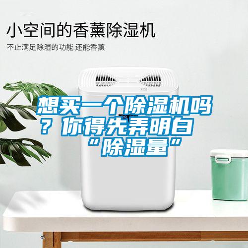 想買一個(gè)除濕機(jī)嗎？你得先弄明白“除濕量”