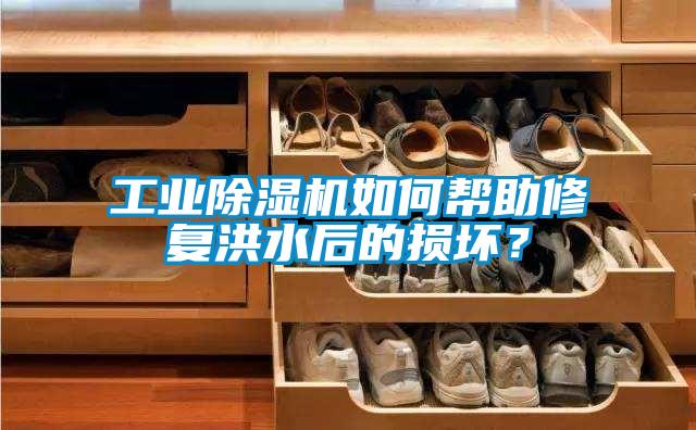 工業(yè)除濕機如何幫助修復洪水后的損壞？