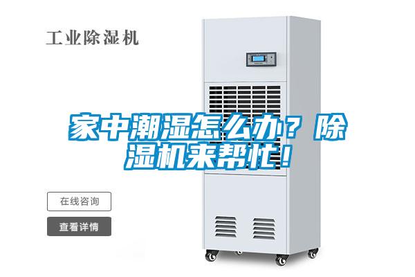 家中潮濕怎么辦？除濕機(jī)來幫忙！