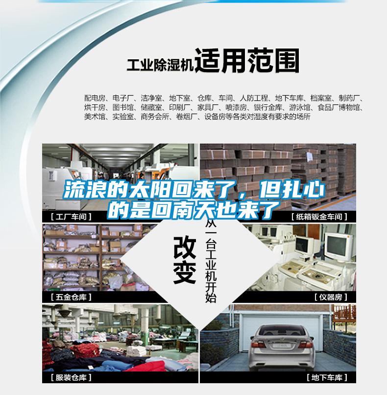流浪的太陽回來了，但扎心的是回南天也來了