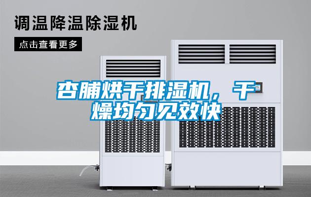 杏脯烘干排濕機(jī)，干燥均勻見效快