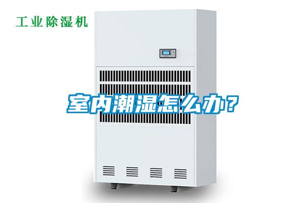 室內(nèi)潮濕怎么辦？