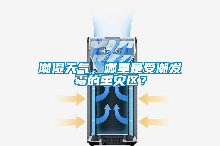 潮濕天氣，哪里是受潮發(fā)霉的重災(zāi)區(qū)？