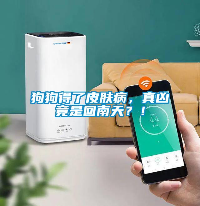 狗狗得了皮膚病，真兇竟是回南天？！