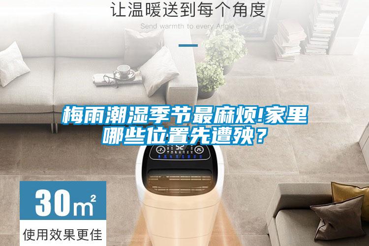 梅雨潮濕季節(jié)最麻煩!家里哪些位置先遭殃？