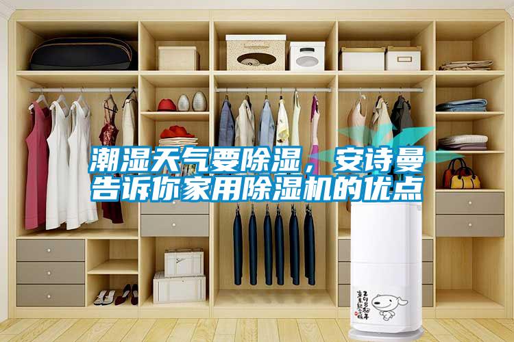 潮濕天氣要除濕，安詩曼告訴你家用除濕機(jī)的優(yōu)點(diǎn)